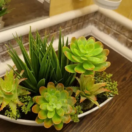 Royal Sea B Apartamento *